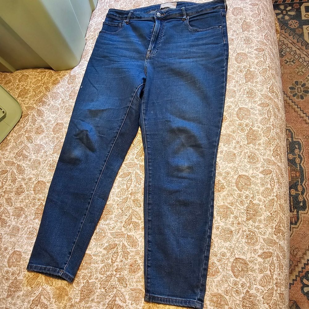 Everlane Curvy High Rise Skinny Crop Jeans